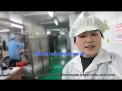 PET-Membranschalter für medizinische Geräte und industrielle Anwendungen